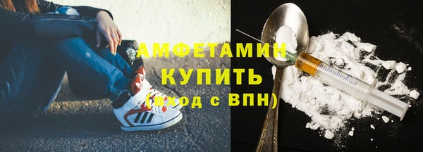 индика Богородицк