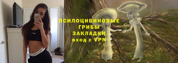 гидропоника Богданович