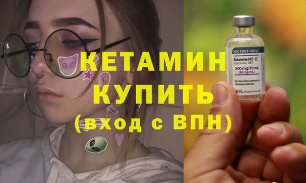 индика Богородицк