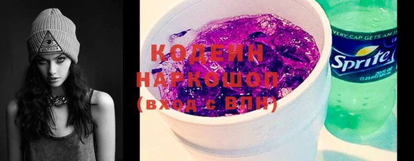 индика Богородицк