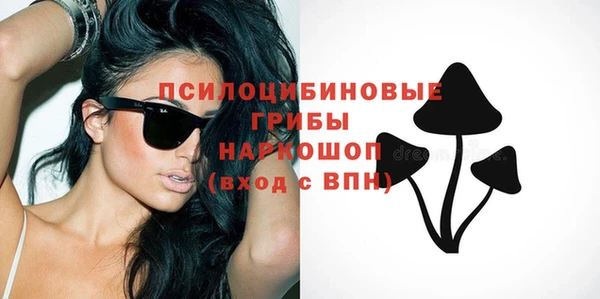 гидропоника Богданович