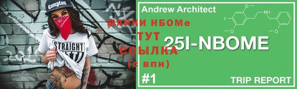 индика Богородицк