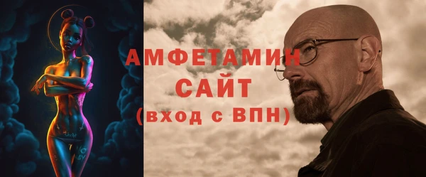 индика Богородицк