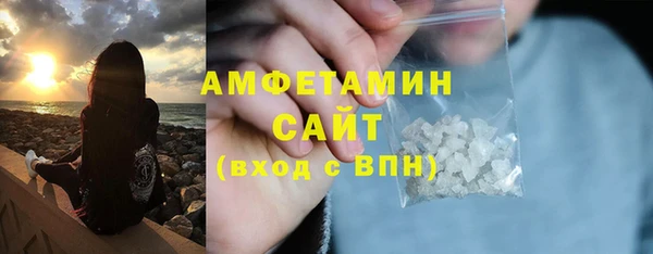 индика Богородицк