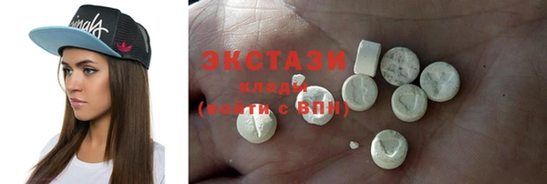 индика Богородицк