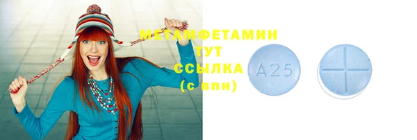 индика Богородицк