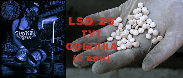 индика Богородицк