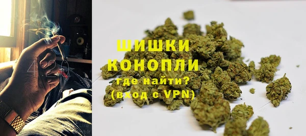 индика Богородицк