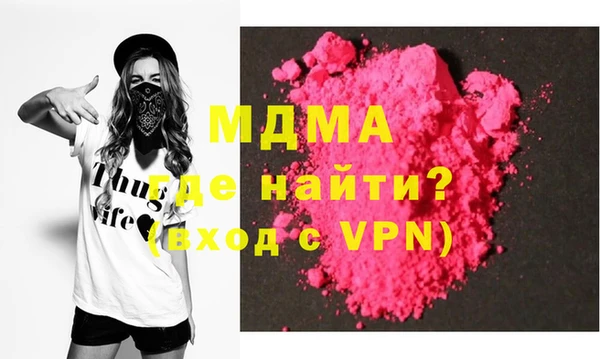 индика Богородицк