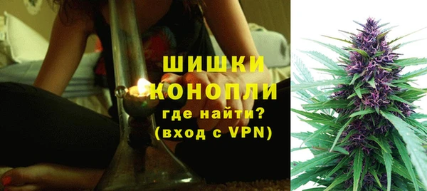 индика Богородицк