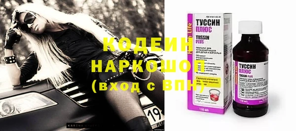индика Богородицк
