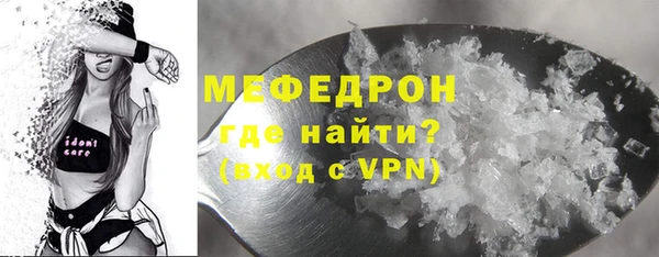 индика Богородицк