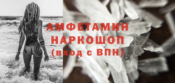 индика Богородицк