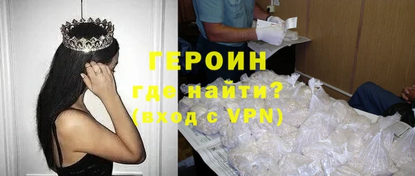 индика Богородицк