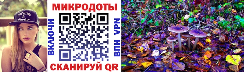 Псилоцибиновые грибы GOLDEN TEACHER Купить где Великий Устюг