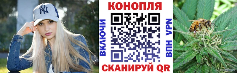 Купить Великий Устюг Шишки марихуана VHQ